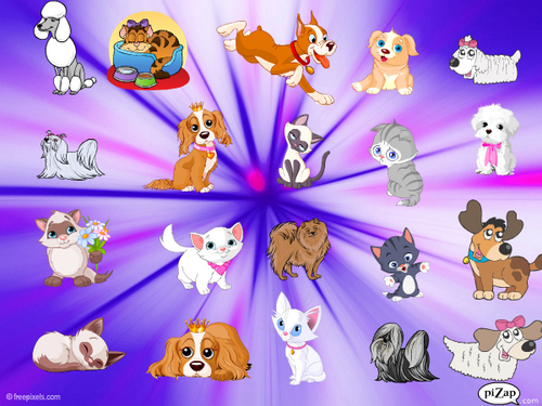 gracecaroline13's profile picture. You cant do anything without God