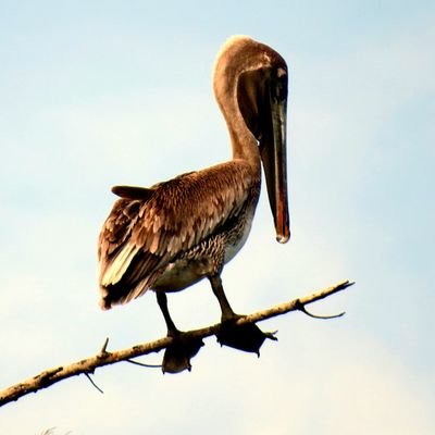 Highthoughts_'s profile picture. 