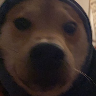 Adrift420's profile picture. Beginner streamer hop on twitch and pop me a follow https://t.co/bm1guALvZh 💜 add my epic AsapXAdrift