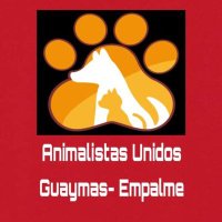Animalistas Unidos Guaymas Empalme(@AnimalistasGE) 's Twitter Profile Photo