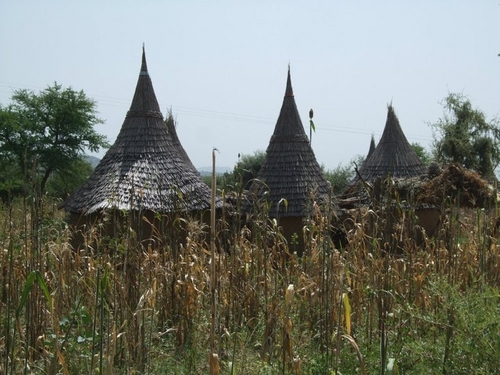 karine_ids's profile picture. Nutrition Convenor, Knowledge Services team at the Institute of Development Studies, UK.