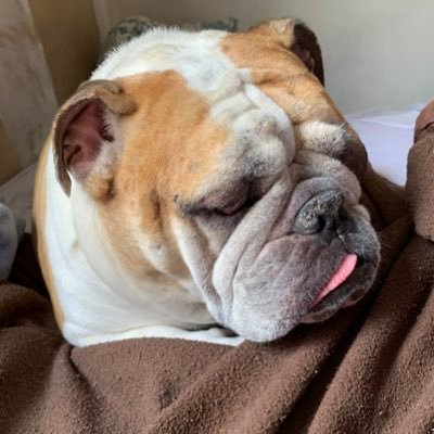 pssouza1's profile picture. ☺️ #PAZ 🇧🇷🌏