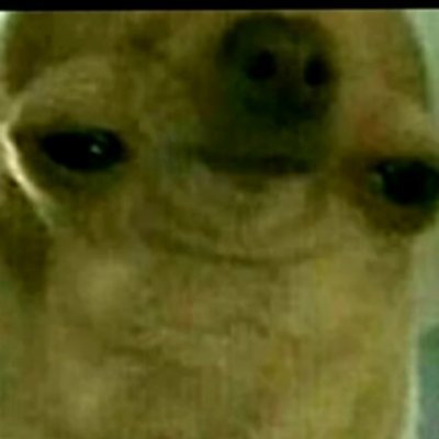 Teo59382906's profile picture. 