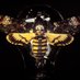 JesseOTC 🐝 (@jesseotc) Twitter profile photo JesseOTC 🐝 (@jesseotc) Twitter profile photo