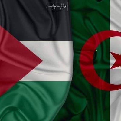 جزائري 🇩🇿 قلبي فلسطيني  🇵🇸