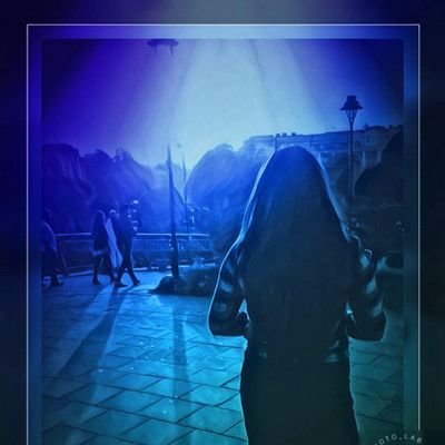 048bf7b024d0447's profile picture. 