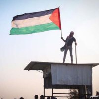 Hisham Asaad (@hishamasaad4) Twitter profile photo