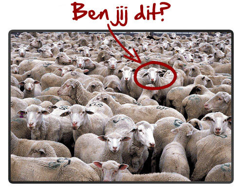 snelrijkworden's profile picture. Wil je ook geld verdienen op het internet Kijk dan snel op onderstaande site