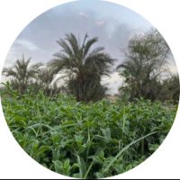 ّماجد (@silant35) 's Twitter Profile