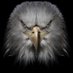 ali bey (@adencer) Twitter profile photo ali bey (@adencer) Twitter profile photo