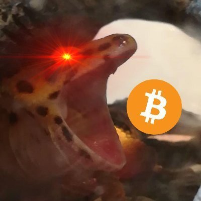 Just a #Bitcoin Lizard trying to gobble up some sats.

Nostr: npub1k6f0ecam577lay8mm8azfvs3u4xvl23q82zpc3htee6ath09gg0s9