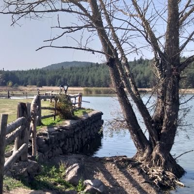 TurgayOzlu2's profile picture. 