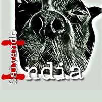 SalvandoaIndia (@salvandoaindia) 's Twitter Profile