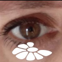 Ana Ridao 💙 (@anaridao) 's Twitter Profile