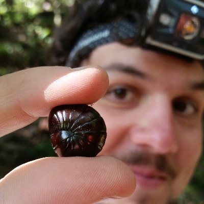 researcher at Museo Argentino de Ciencias Naturales, CONICET • spider nerd • taxonomy, systematics, biogeography • he/él • views my own • 🇧🇷🇦🇷 • (⁸ₒₒ⁸)