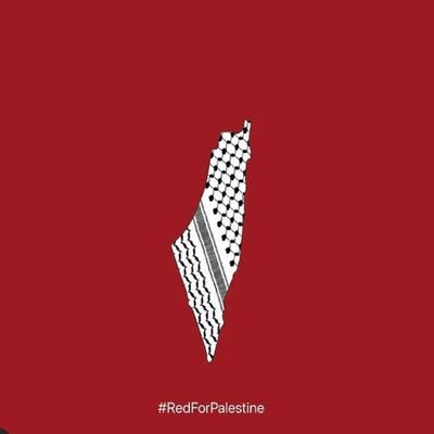 HagarHoshan's profile picture. 