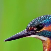 Vladimir(💙,🧡) ❤️ Memecoin (@erutpviz5benshd) 's Twitter Profile