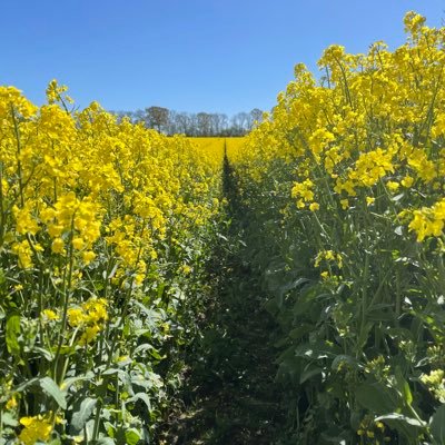 Arable & Fruit Farmer, Father and Field Sports Enthusiast