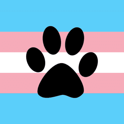 gingerfolf's profile picture. Furry • Trans & Demi-pan • Furry