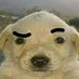 Wildy (@drastiowo) Twitter profile photo Wildy (@drastiowo) Twitter profile photo