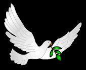 aboma29's profile picture. Aspire to inspire before you expire!