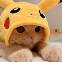 Pikachu(@flovenn0706) 's Twitter Profile Photo