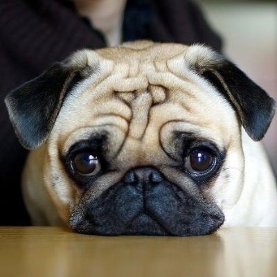 coltorchen's profile picture. chromium/pwa/windows-kernel