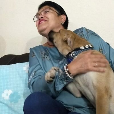 carserna58's profile picture. amo la naturaleza en gral.,me gusta leer,amo a mis(3)😜peludos q me hacen la vida mas feliz🐾🐾🐾🐾se fue al cielo de arcoiris..la jefa de jefas...mi bala💔🐶