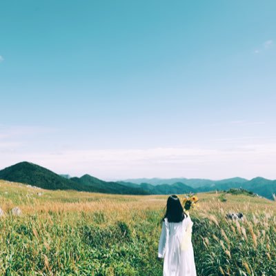 高知県で編集者をしています。