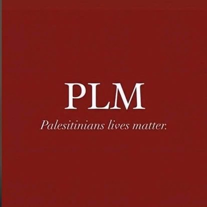 ‏‏♥ palestine-gaza ♥ حسبنا الله ونعم الوكيل♥ملناش غير الله♥لما بنحكي #‏كتائب_القسام  معناتو آتخْيل حآلك فْاتح كتْآب عنْوآنه : كيْف تصبْح #‏رجلاً ..!!