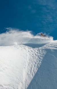 daltonpaley's profile picture. still pictures. moving pictures.