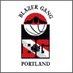 𝘽𝙡𝙖𝙯𝙚𝙧 𝙂𝙖𝙣𝙜 (@blazer_gang) Twitter profile photo