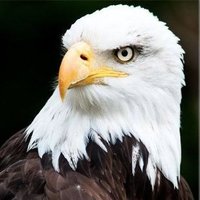 Fatih Hoca (@borsaanaliz07) 's Twitter Profile Photo Fatih Hoca (@borsaanaliz07) 's Twitter Profile Photo