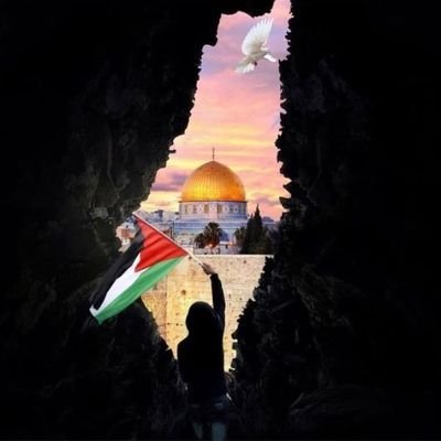 Enginee34119856's profile picture. 