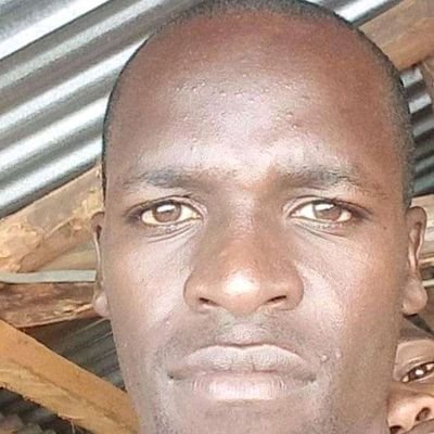 Gilbert77742050's profile picture. 