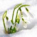 スノードロップ 緊急連絡先(インスタsnowdrop0220130) (@28xgp6wtvy8mnno) Twitter profile photo スノードロップ 緊急連絡先(インスタsnowdrop0220130) (@28xgp6wtvy8mnno) Twitter profile photo