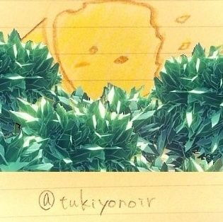 槐さんのプロフィール画像