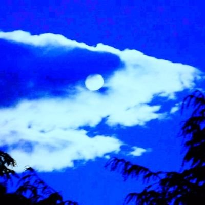 DrCloudShark's profile picture. I dissect logs and build Cloud Detections..!!