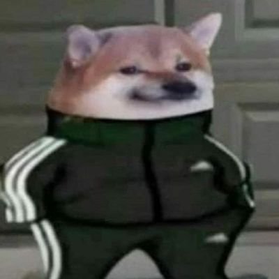 Foxyfoxfoxy2's profile picture. #SoutienFDO