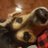 CainBandara's profile image