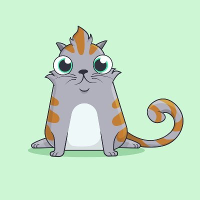 bitgo779's profile picture. crypto & blockchain & daily