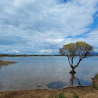 Warden Kenfig National Nature Reserve (@kenfigwarden) 's Twitter Profile