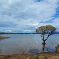 Warden Kenfig National Nature Reserve(@KenfigWarden) 's Twitter Profile Photo