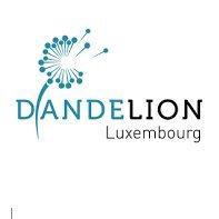 Notre force, votre réussite
contact@dandelion.lu