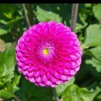 সালমা আক্তার (@mwjb8xd9jhzk891) 's Twitter Profile Photo