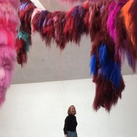 Svenja Niederfranke (@sniederfranke) Twitter profile photo