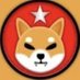 Shib General (@tziq80plbdqyrvd) Twitter profile photo Shib General (@tziq80plbdqyrvd) Twitter profile photo