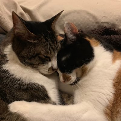 FUKASA_YU's profile picture. ちょっと気になる情報(ビジネス、マーケティング、食、スポーツ、ファッション等々）を備忘録的にアップしてます。