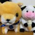 @yanmar0003