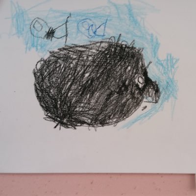 RiN26665956's profile picture. 